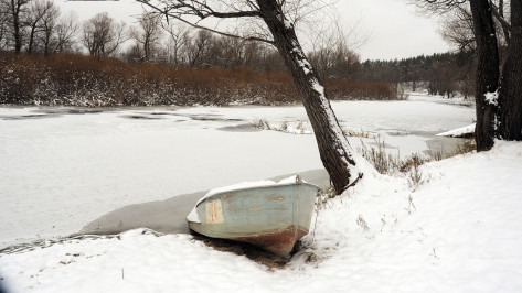Начались поиски подрядчика для расчистки реки в Воронежской области