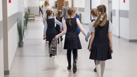 В Воронежской области введут специальные проездные для школьников из многодетных малоимущих семей