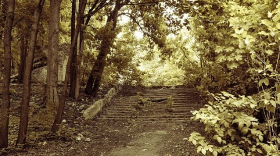 На реконструкцию парка «Динамо» в Воронеже мэрии предстоит найти 62 млн. рублей