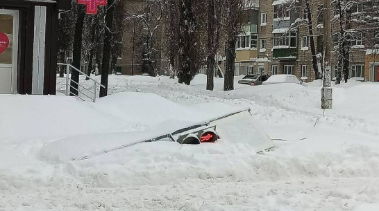 В Воронеже на бульваре Пионеров упал светофор для пешеходов