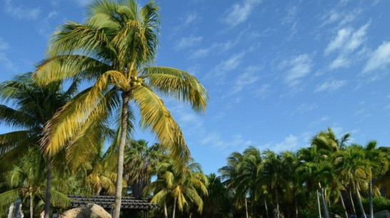 К лету отдых за границей подорожает для россиян на 80% 