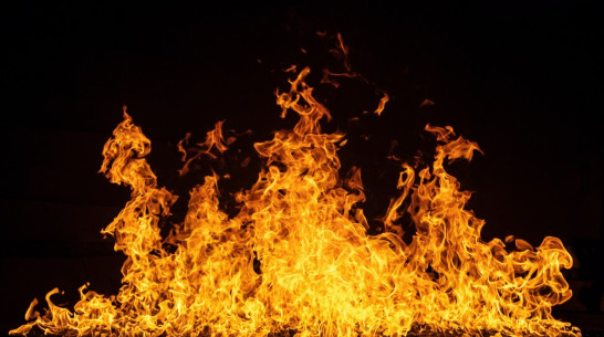 Пожар уничтожил 40 тонн сена в воронежском совхозе
