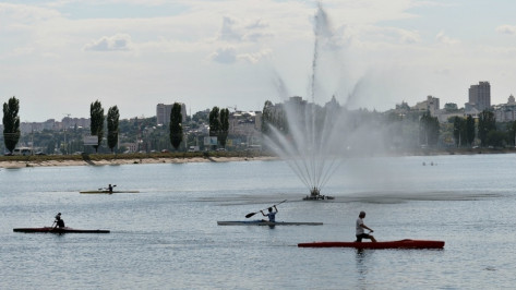 Воронежские гребцы взяли 6 золотых медалей на всероссийских соревнованиях