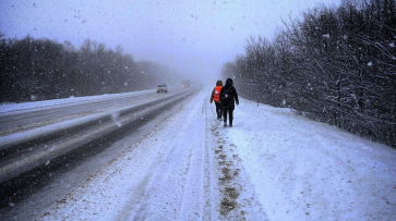 В Воронежской области за неделю 18 пропавших нашли живыми