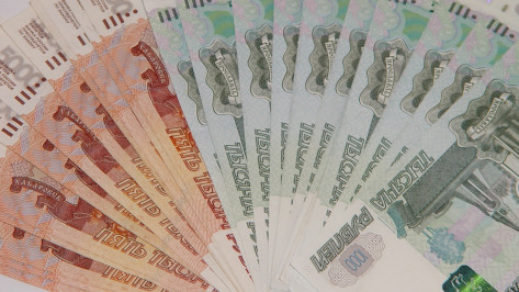 Воронеж и 12 районов области получат 50 млн рублей за наращивание налогового потенциала