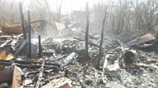На хуторе в Каменском районе из-за непотушенного окурка сгорел сарай