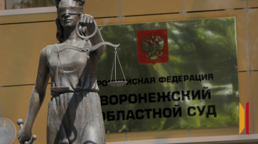 Воронежец вымогал крупную сумму денег у участника СВО