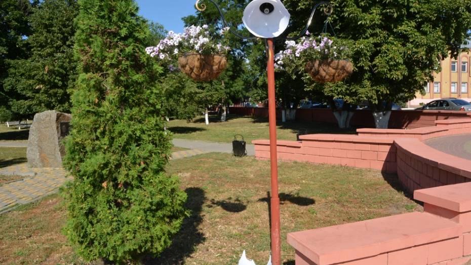 В Богучаре нашли хулигана, разбившего противоударные плафоны на фонарях в парке 