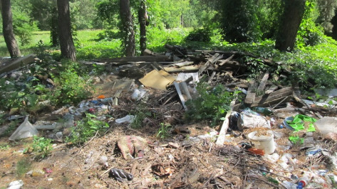 В 3 лесничествах Воронежской области нашли незаконные свалки