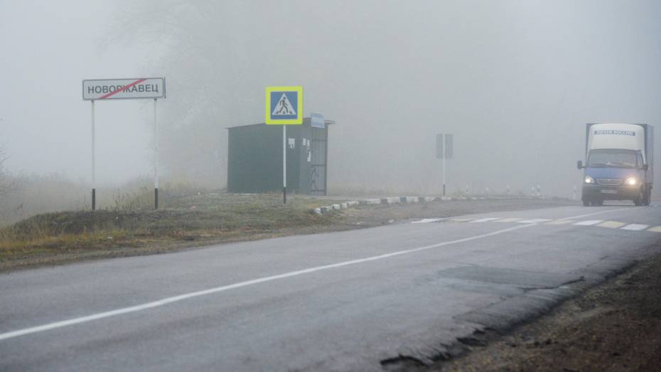 Туман и похолодание до +10 градусов прогнозируют в Воронежской области