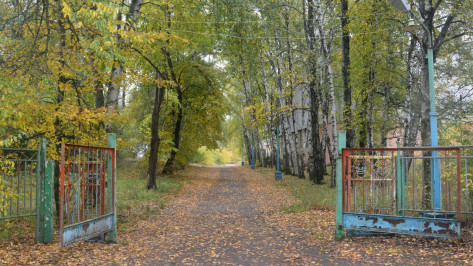 На месте заброшенных детских лагерей под Воронежем могут создать спортивный кластер