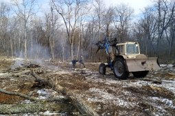 В Воронежской области началась расчистка горельников 2020 года