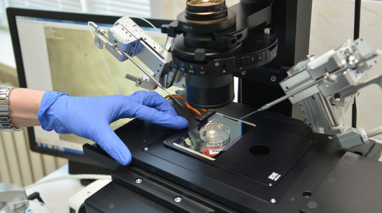 Ученый назвал «преждевременными» выводы о раннем старении больных COVID-19