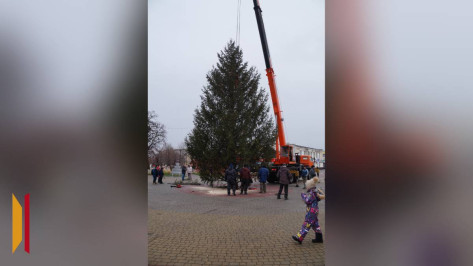 В Богучаре установили 13-метровую новогоднюю ель