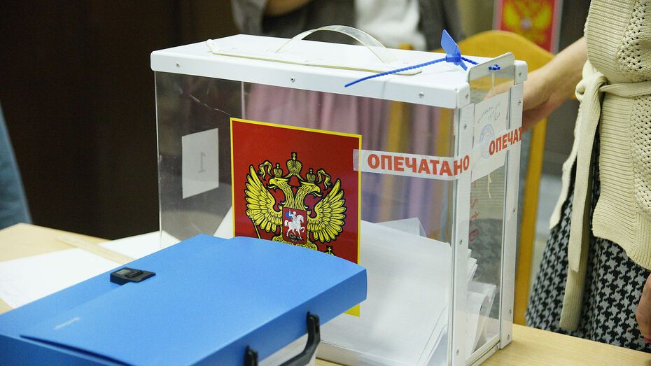 В Воронежской области стартовал единый день голосования