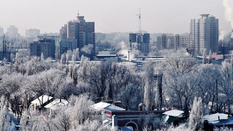 В первый рабочий день 2024 года в Воронежской области сохранится аномально холодная погода