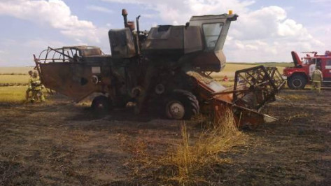 В Воронежской области в поле у хутора Новая Сотня 3 августа загорелся комбайн