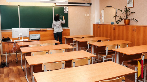 Обществознание уберут из школьной программы у воронежских учеников 6–7 классов