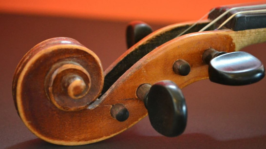 Заявки на международный конкурс «Щелкунчик» подали 5 юных музыкантов из Воронежа