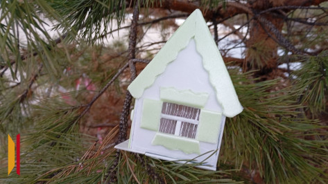 В Грибановском районе объявили конкурс самодельных новогодних украшений