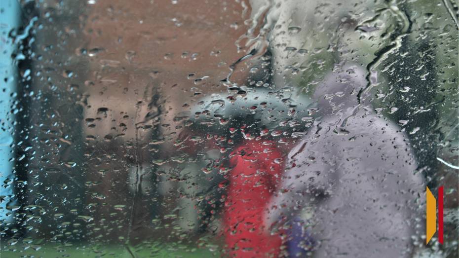 Воронежцев ждет дождливая и облачная рабочая неделя