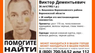 Поисковики сообщили о пропаже в Воронежской области 36-летнего мужчины