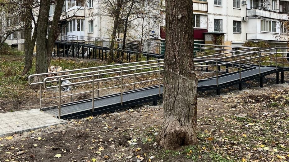 Воронежцы обратили внимание на необычно длинный пандус возле 9-этажки