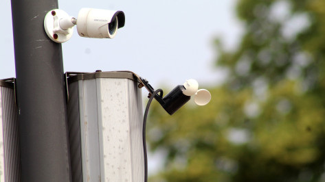 В Воронежской области установят 17 новых камер системы «Лесохранитель»