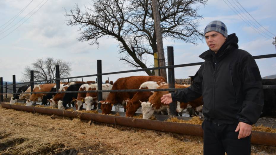 Нижнедевицкий фермер на развитие молочного животноводства получил грант 9,6 млн рублей