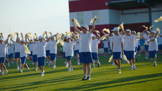 Власти Воронежской области подсчитали спортивные расходы 2014 года