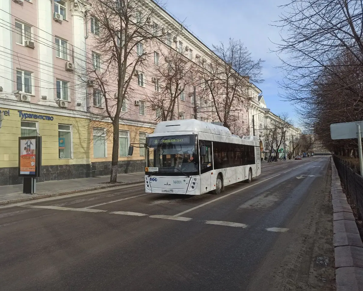 Новые большие автобусы вышли на востребованный маршрут в Воронеже