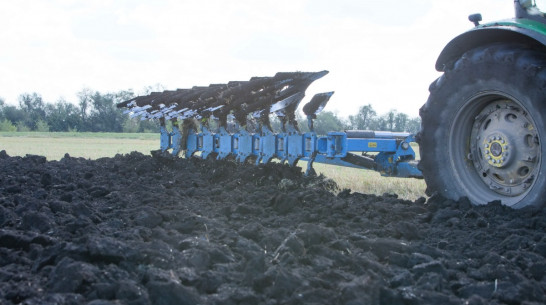 На сельхозпредприятии воронежского «Молвеста» начали посевную кампанию