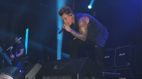 В Воронеже на концерте «Papa Roach» фанаты устроили «слэм» 