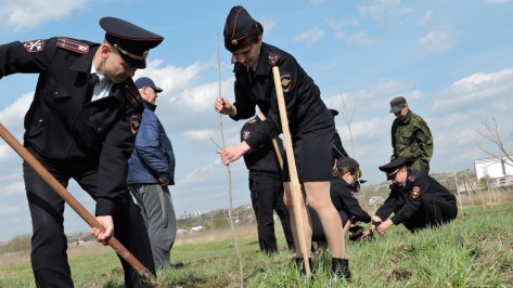 Кантемировские полицейские и ветераны МВД приняли участие в акции «Лес Победы»