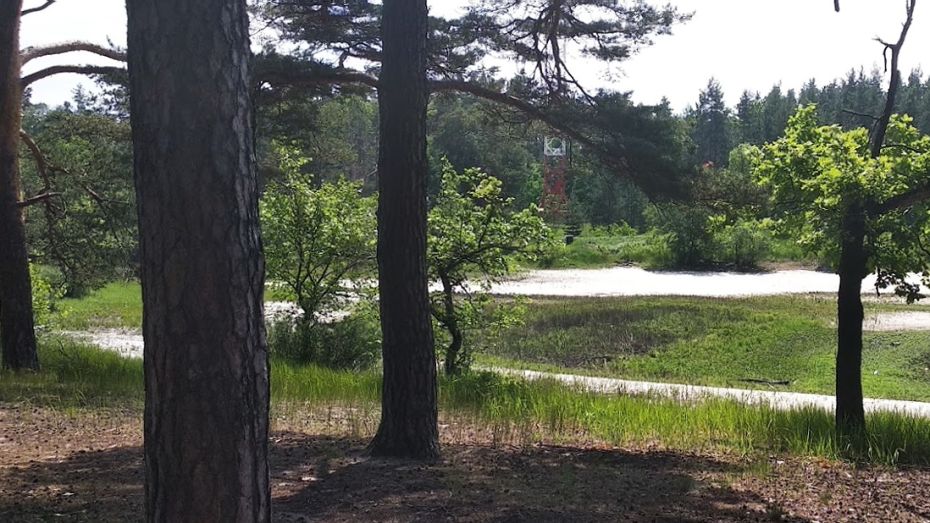Полностью пересохло озеро в Воронежском заповеднике