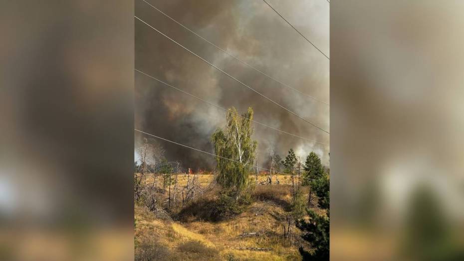 В селе Ямное под Воронежем вновь разгорелся пожар