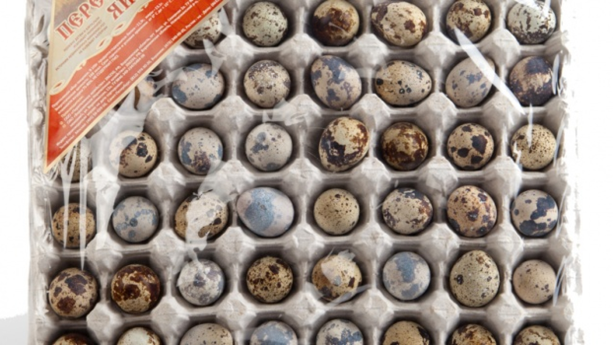 Воронежская область производит 40 процентов перепелиных яиц в стране