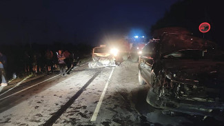 Два человека погибли и 5 пострадали в страшном ДТП под Воронежем