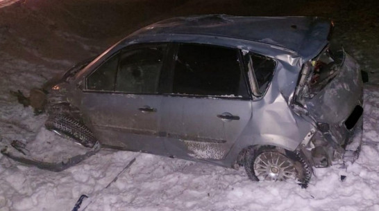 Машина с 37-летней женщиной и 10-летней девочкой разбилась под Воронежем
