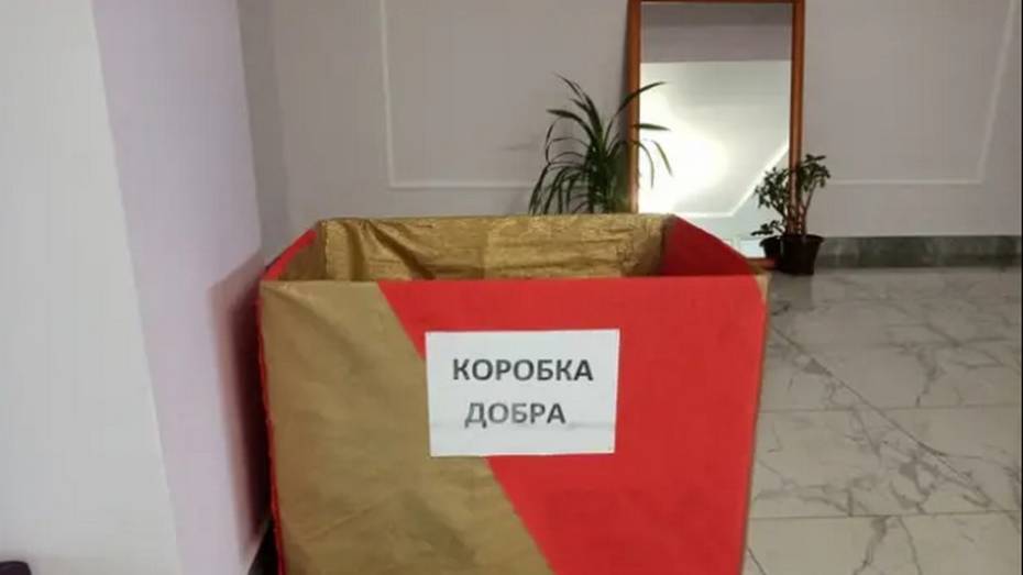 Грибановские волонтеры объявили акцию помощи малообеспеченным семьям «Коробка добра»