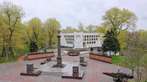 В Воронеже начнут поиск подрядчика для капремонта Центра «Музей-диорама» за 100 млн рублей