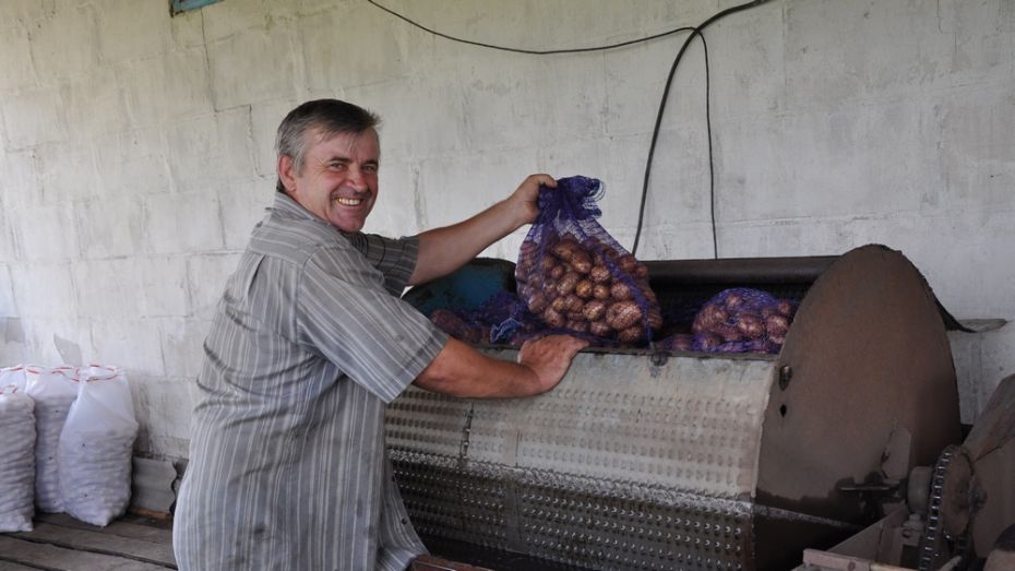 Житель павловского села изобрел картофелемойку