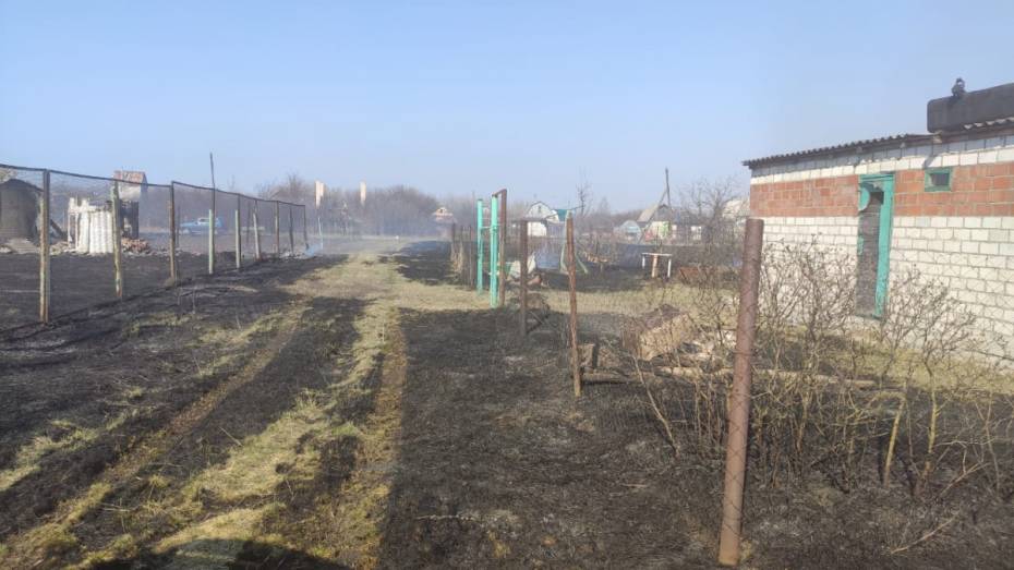 За сутки в Воронежской области произошло 165 пожаров