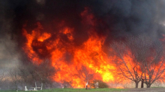 Пожароопасный сезон начался в Воронежской области