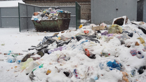Воронежское министерство ЖКХ объяснило проблемы с вывозом мусора