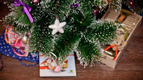 Воронежцам предложили передать подарки к Новому году для детей-сирот