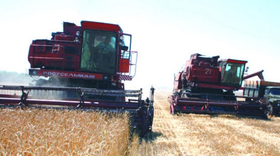 Богучарский агроном придумал, как ускорить уборочную кампанию