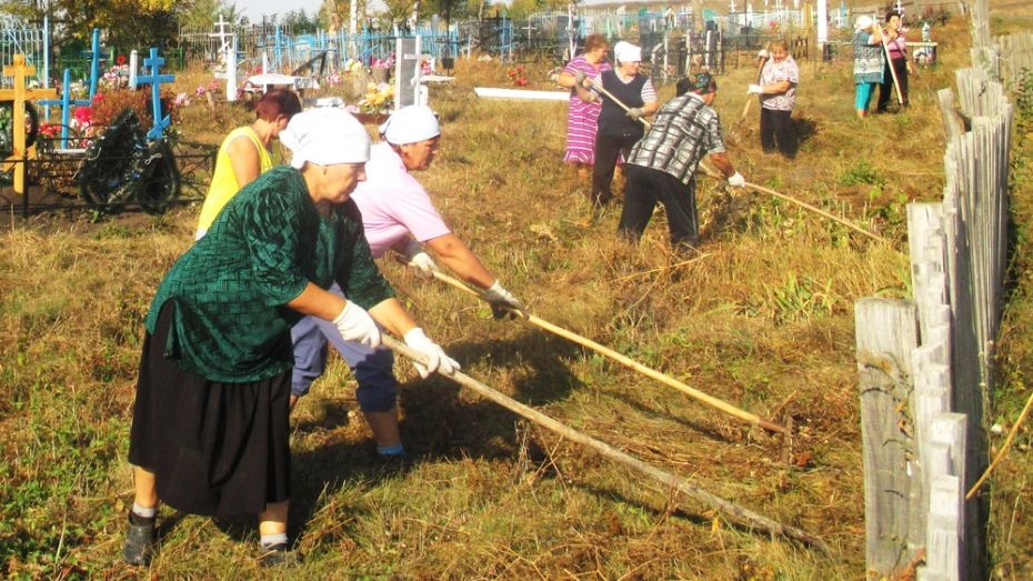 Погода репьевка воронежская на 3 дня