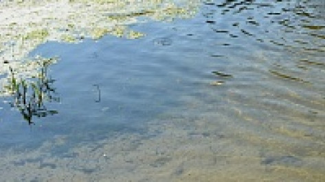 Житель Воронежа утопил в реке под Рамонью дорогую иномарку