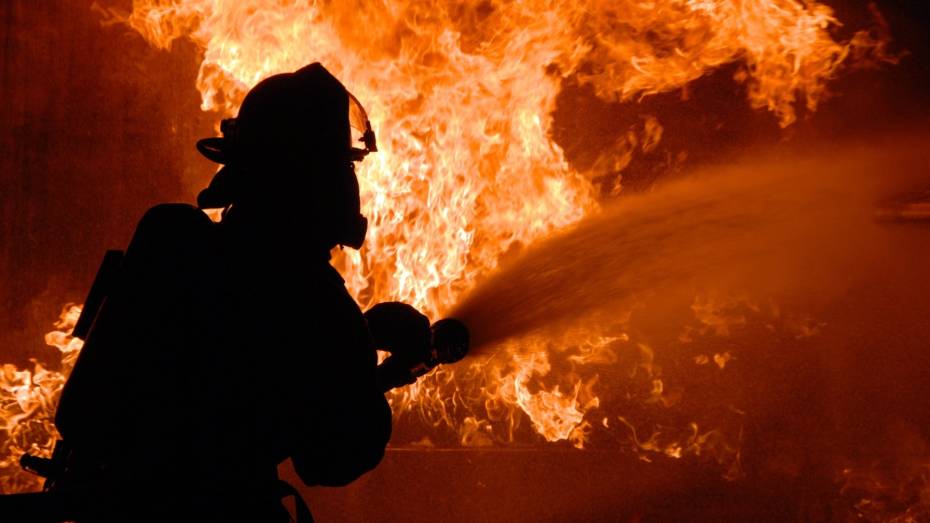 В сгоревшем доме в Воронежской области обнаружили тело 60-летнего мужчины